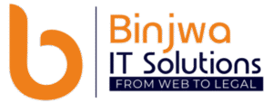 Binjwa IT Solutions logo