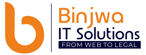 Binjwa IT Solutions logo